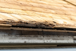 Roof Replacement Services in the Kansas City Metro Area